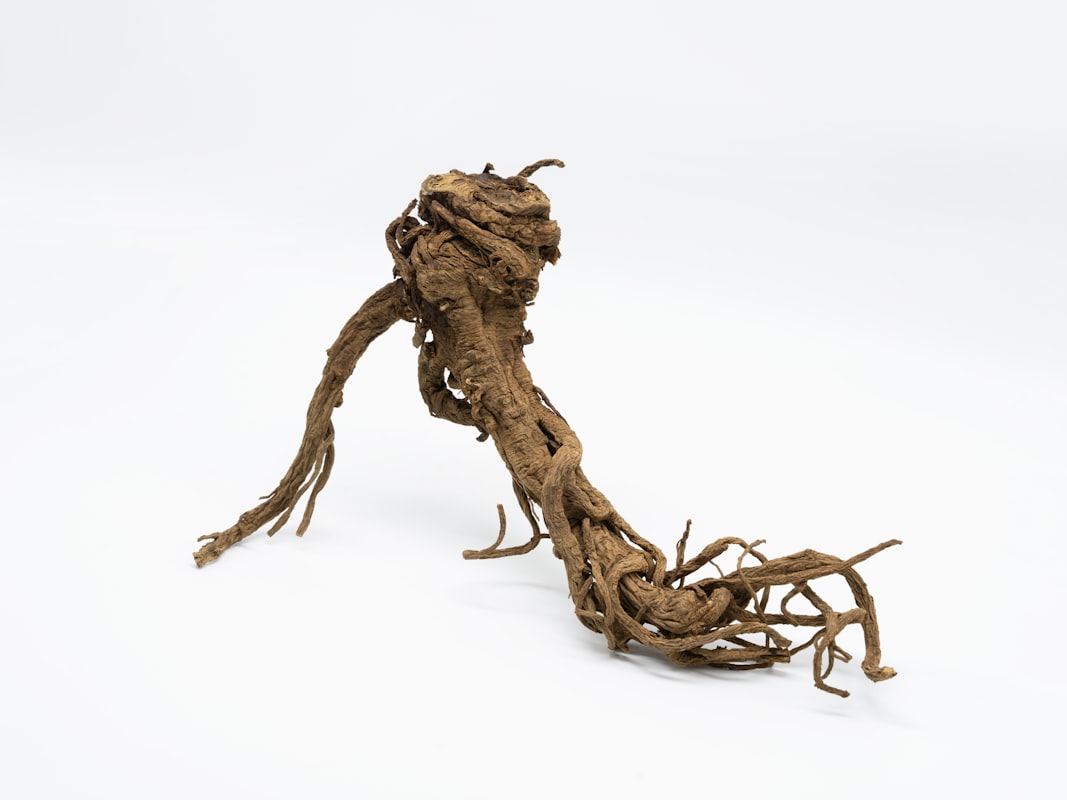 Traditional herbal preparations and natural ingredients
